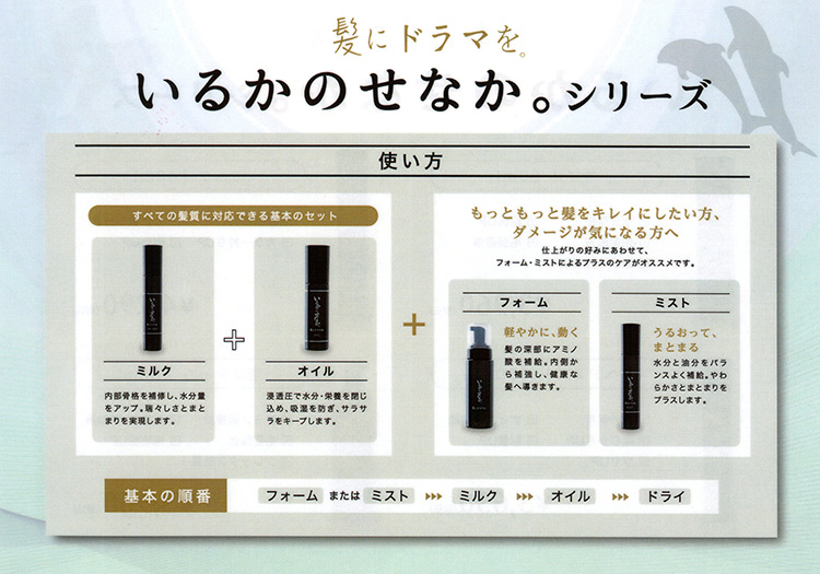いるかのせなかシリーズ　1